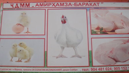 DSC06289.JPG